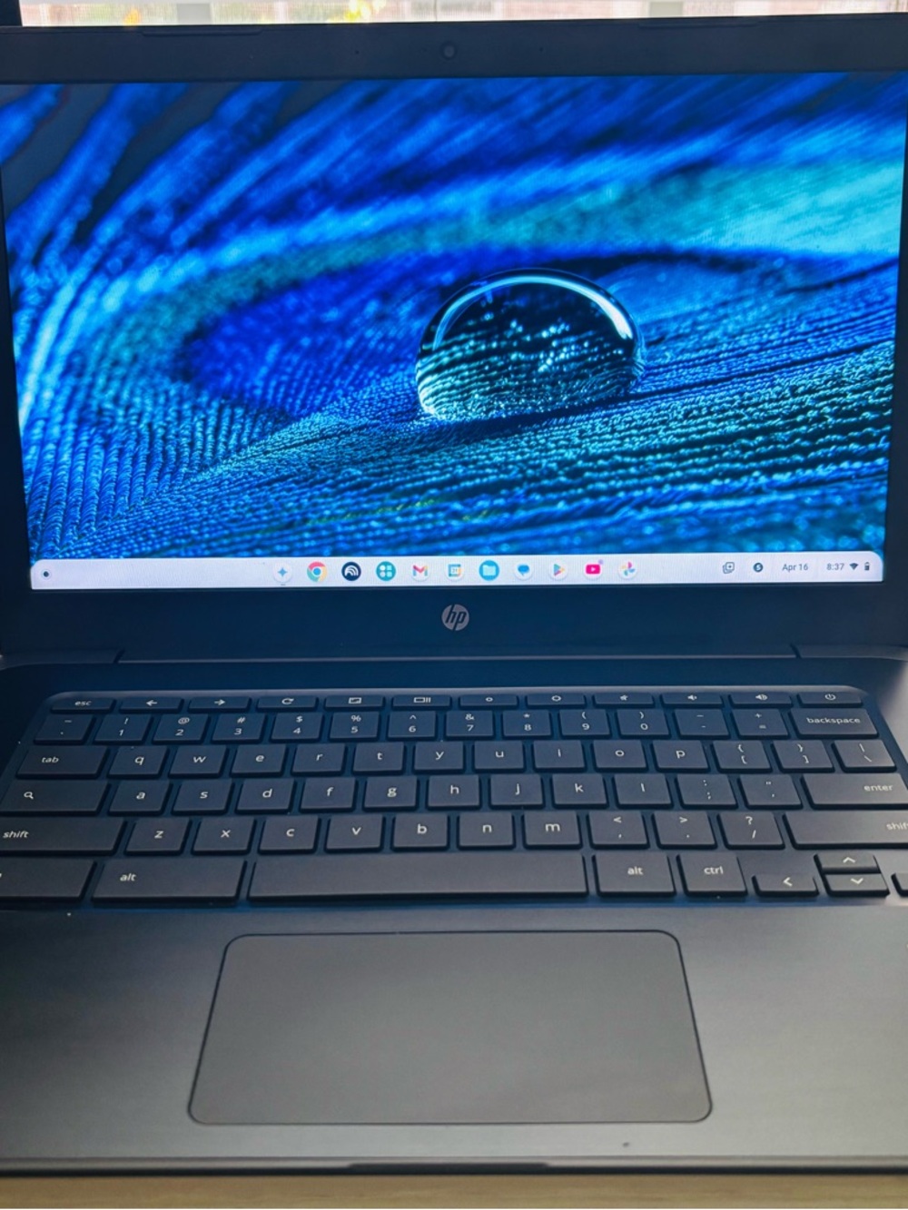 HP Chromebook